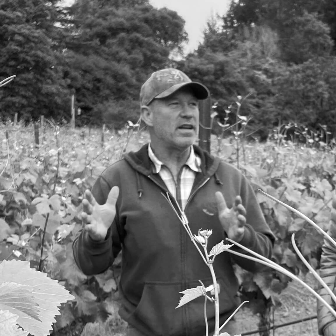 man standing in vineyard
