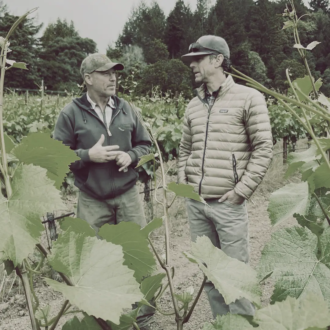 John Peterson Comptche, Grower