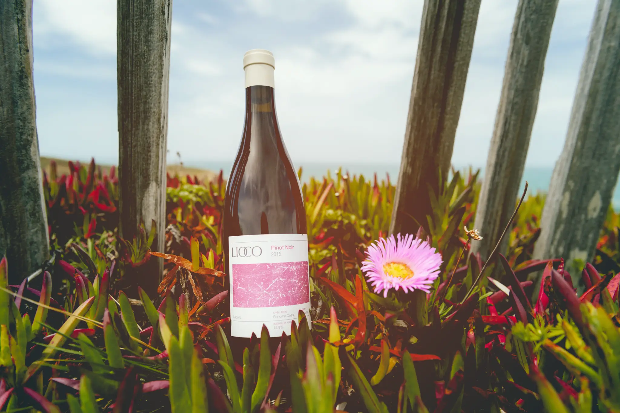 LIOCO 6 Bottle Club Image