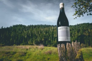 LIOCO Unfiltered - Wines of Place Hero Image